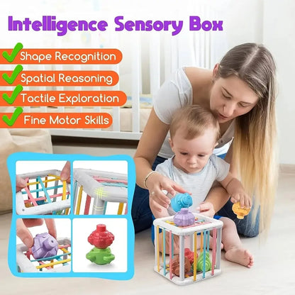 Baby Montessori Shape Sorter Cube Rainbow Toy